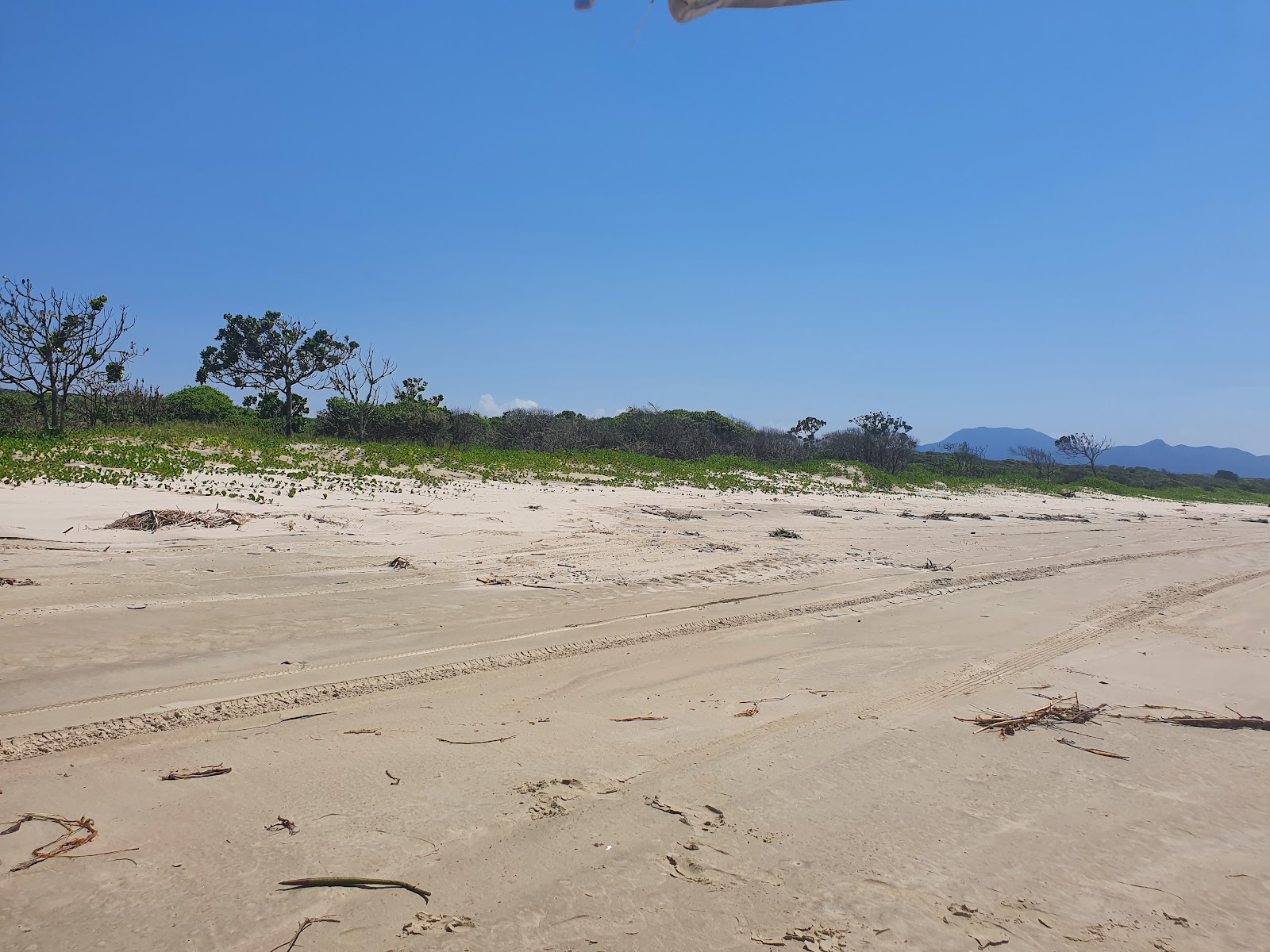 Foto de Playa de Juréia - lugar popular entre los conocedores del relax
