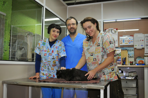 Centro Veterinario Joanic en Barcelona