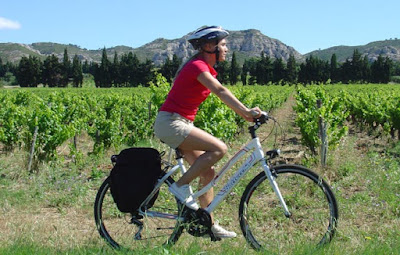 Walk Inn - Walking & Cycling Holidays à Avignon
