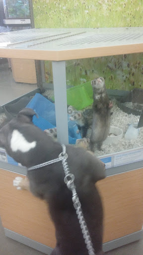 Pet Supply Store «Petco Animal Supplies», reviews and photos, 12444 NW 10th St #301, Yukon, OK 73099, USA