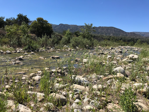 Ventura River Preserve - Old Baldwin Trailhead