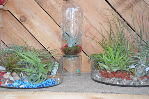 Lumber Store «Sutherlands Lumber», reviews and photos, 311 W 72nd St, Kansas City, MO 64114, USA