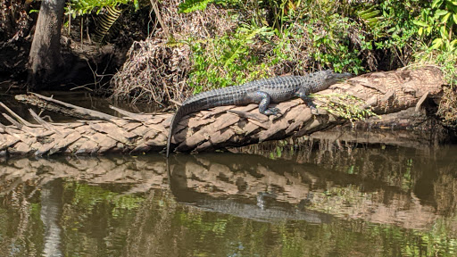 Boat Tour Agency «River Lilly Cruises», reviews and photos, 500 E Prima Vista Blvd, Port St Lucie, FL 34983, USA