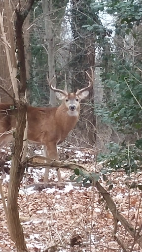 National Park «Battery Kemble Park», reviews and photos, 3035 Chain Bridge Rd NW, Washington, DC 20016, USA