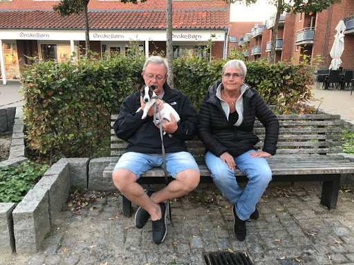 Stengaardens Hundecenter in Ruds Vedby, Sorø