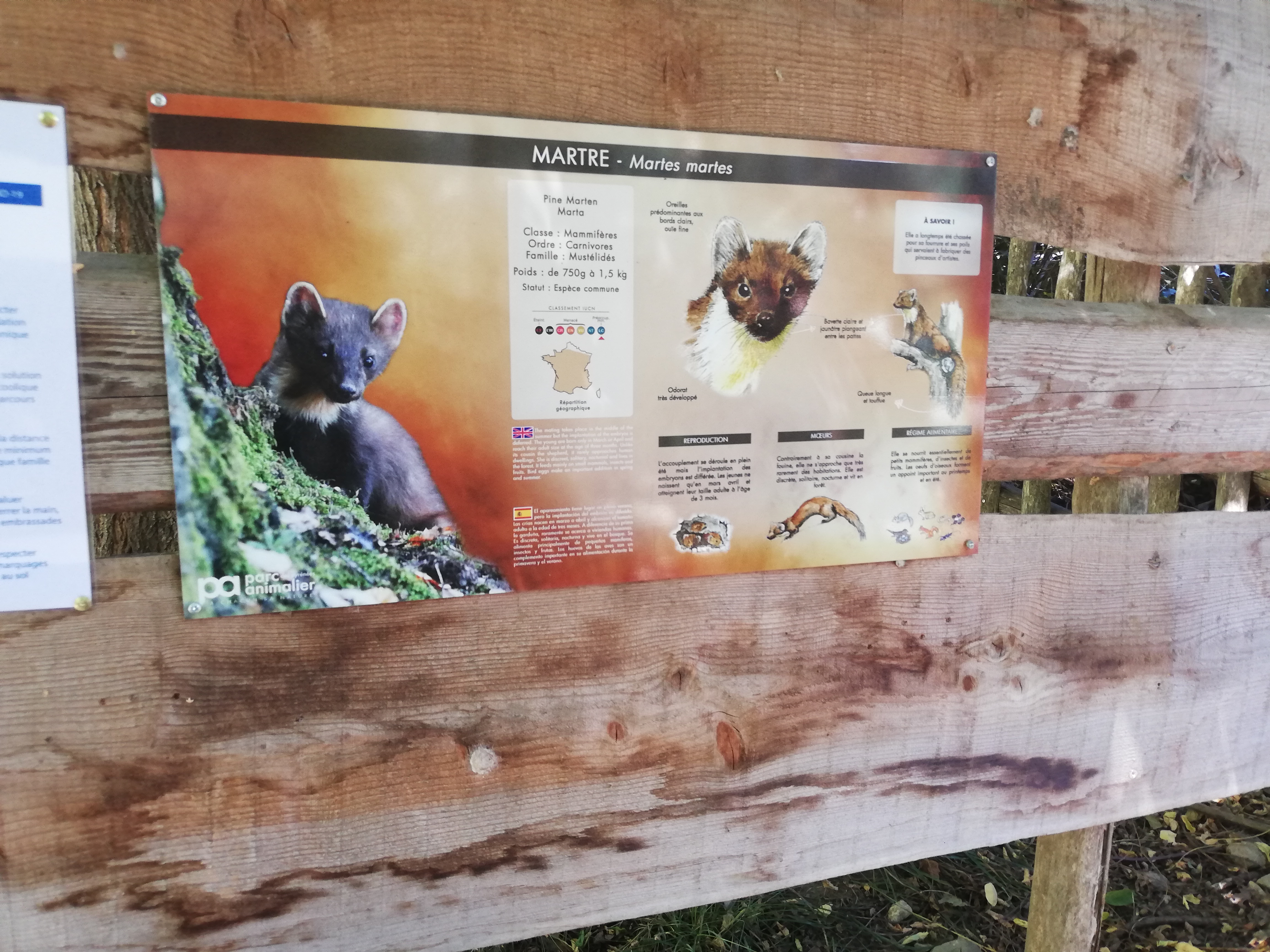 Photo n° 45 de l'avis de Soleil. fait le 20/08/2020 à 12:36