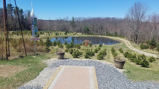 Outdoor Sports Store «Maple Hill Disc Golf», reviews and photos, 132 Marshall St, Leicester, MA 01524, USA