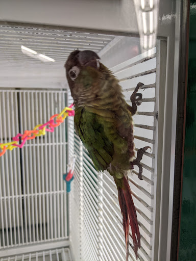 Pet Supply Store «Petco Animal Supplies», reviews and photos, 251 W Lee Hwy #617, Warrenton, VA 20186, USA