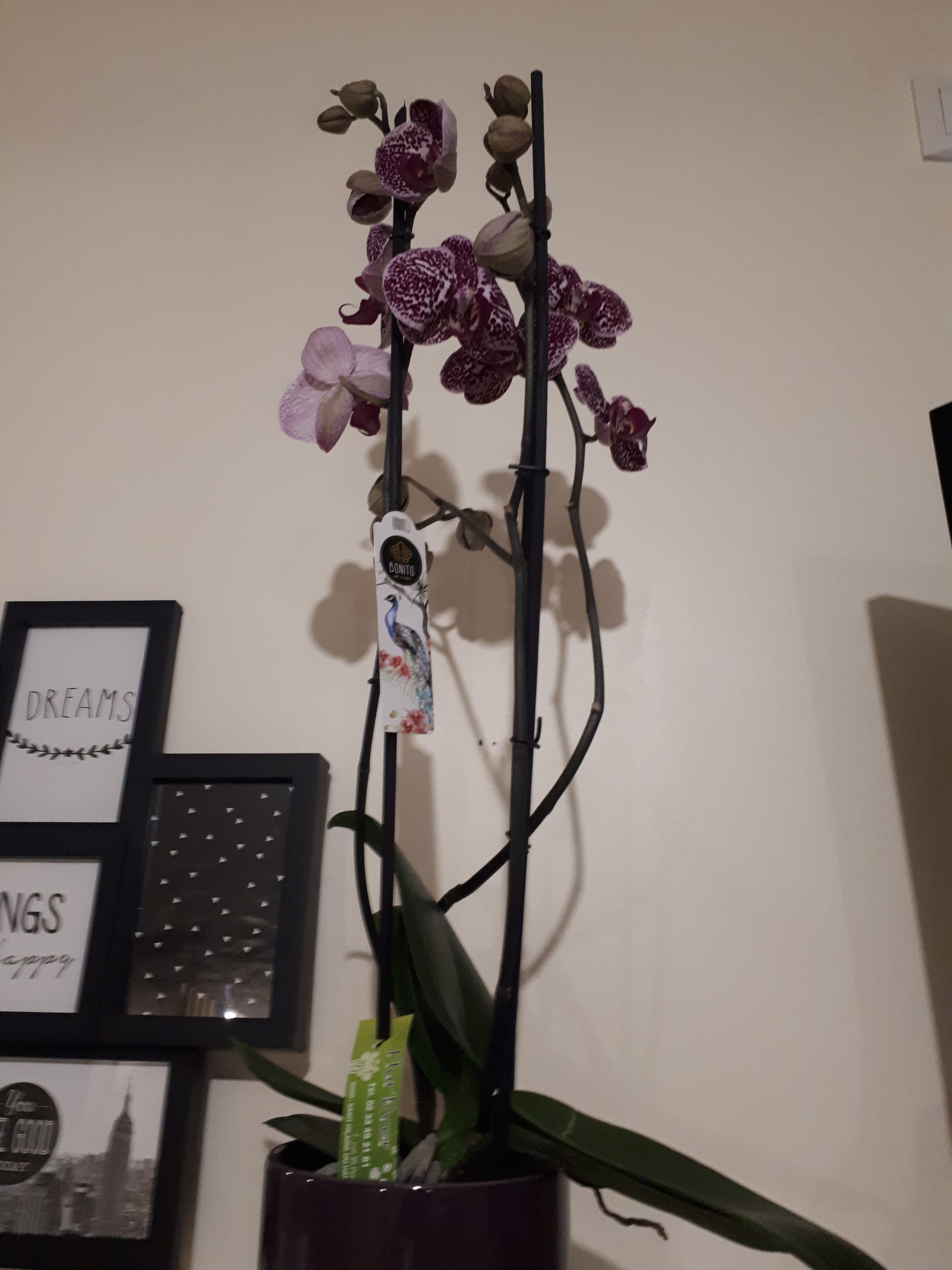 Photo n° 5 de l'avis de Mathieu. fait le 14/02/2019 à 20:21