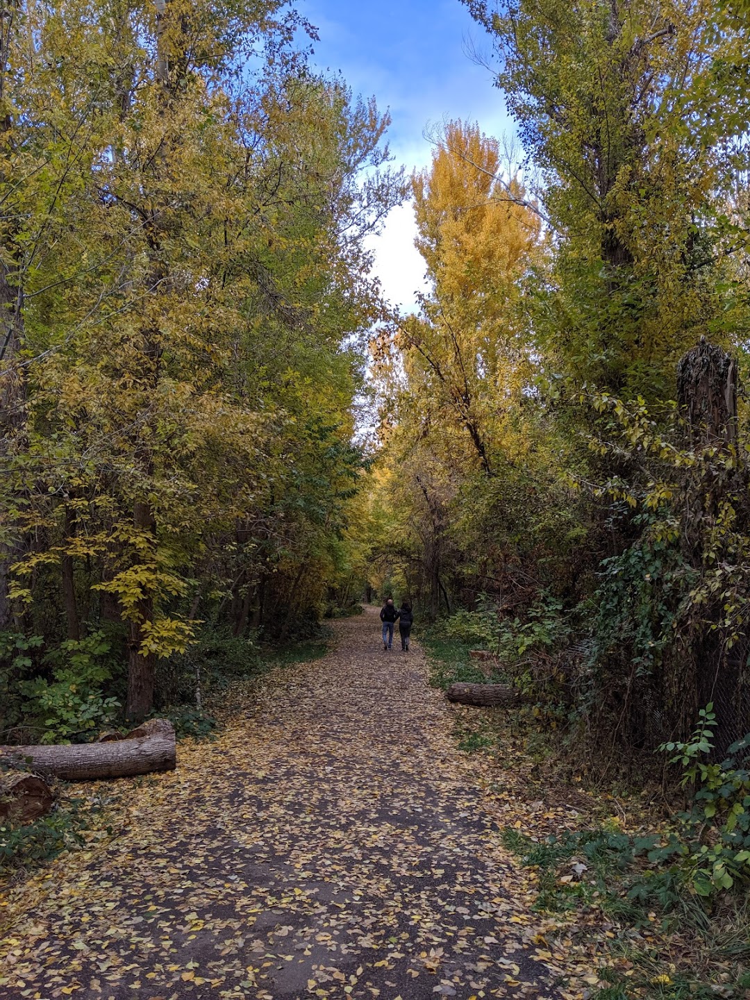 Lagoon Trail