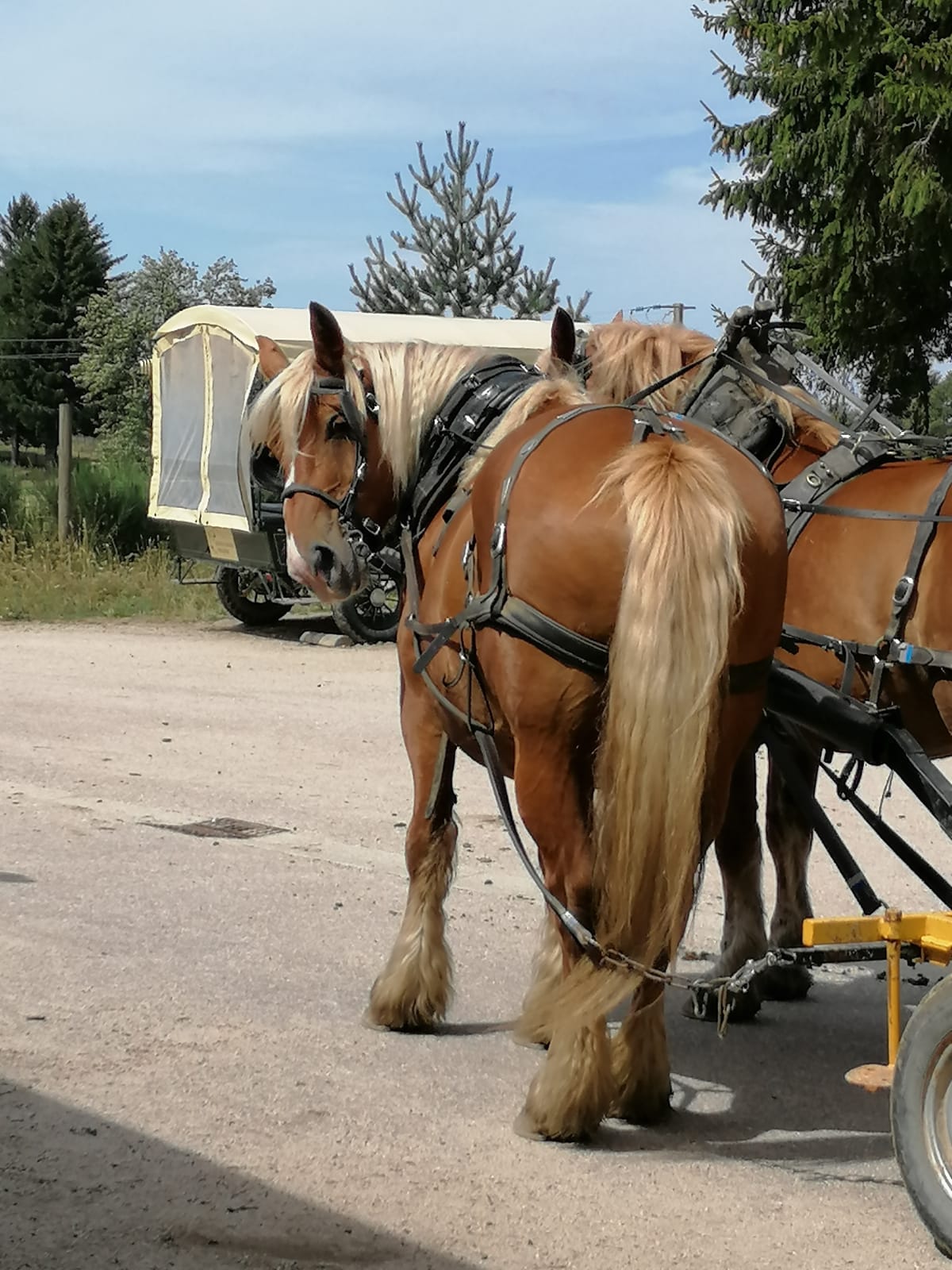 Photo n° 3 de l'avis de Julien.u fait le 04/09/2019 à 16:55