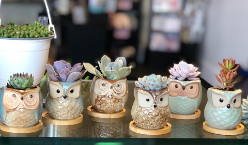 Florist «Plumeria Botanical Boutique», reviews and photos, 1364 W Michigan Ave, Battle Creek, MI 49037, USA