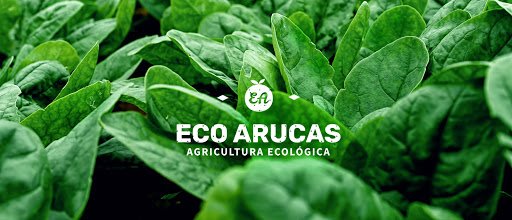 EcoArucas