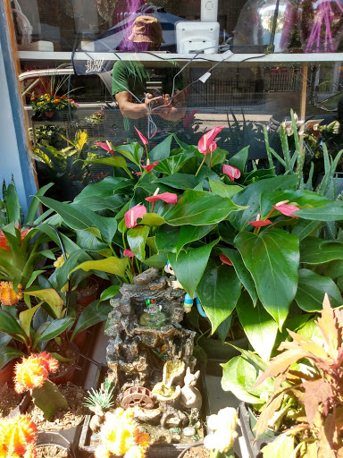 Florist «Ines Flower Shop», reviews and photos, 370 54th St, Brooklyn, NY 11220, USA