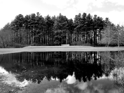 State Park «Cochituate State Park», reviews and photos, 43 Commonwealth Rd, Natick, MA 01760, USA