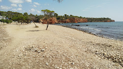 Foto von Playa del Bacone mit sehr sauber Sauberkeitsgrad
