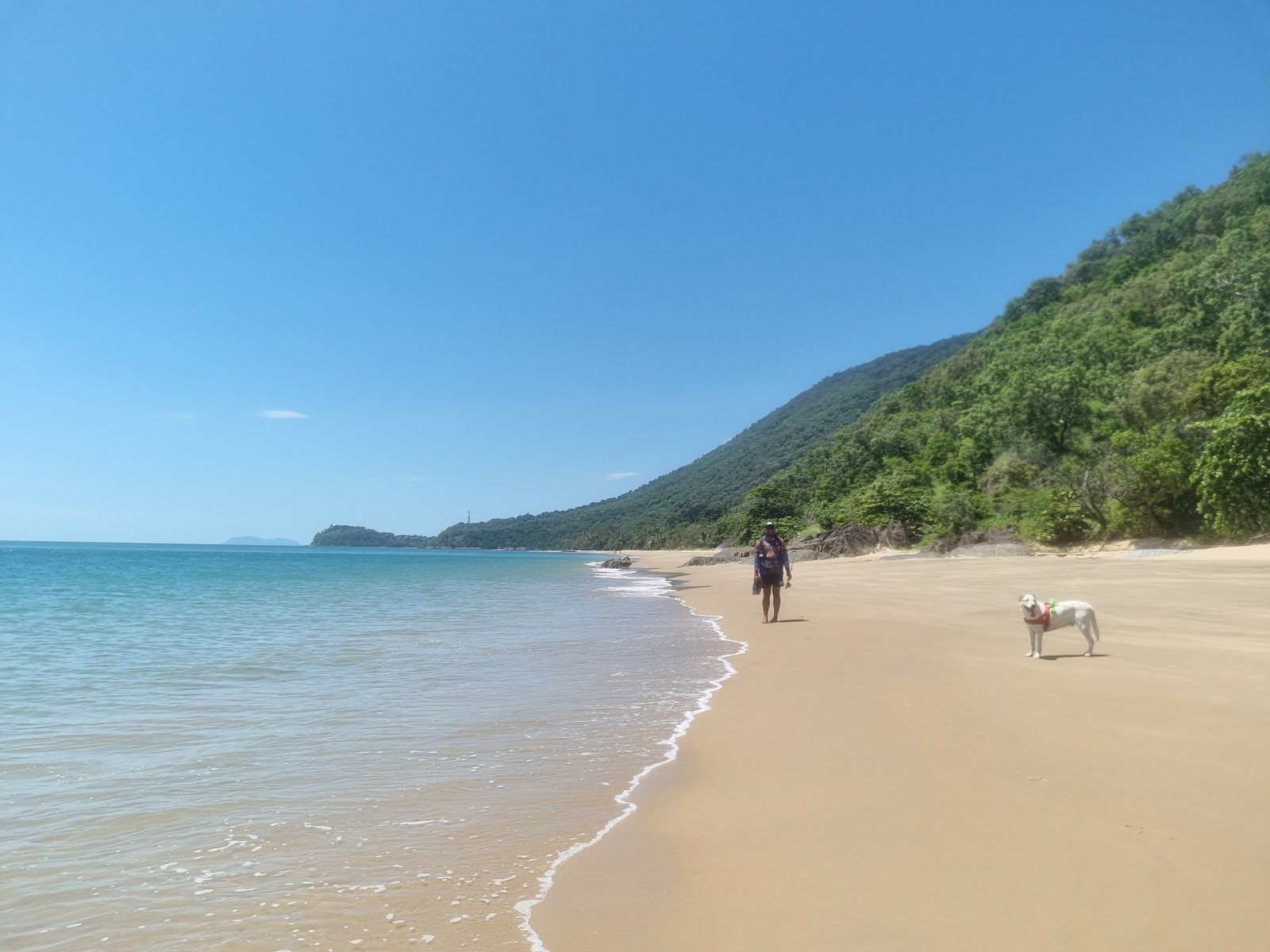 Fotografie cu Ellis Beach cu o suprafață de nisip beige