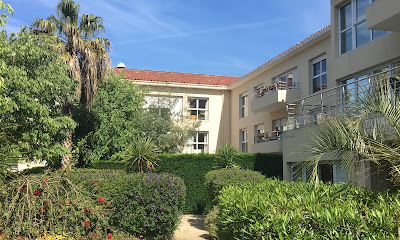 La Rose de Noël à Six-Fours-les-Plages