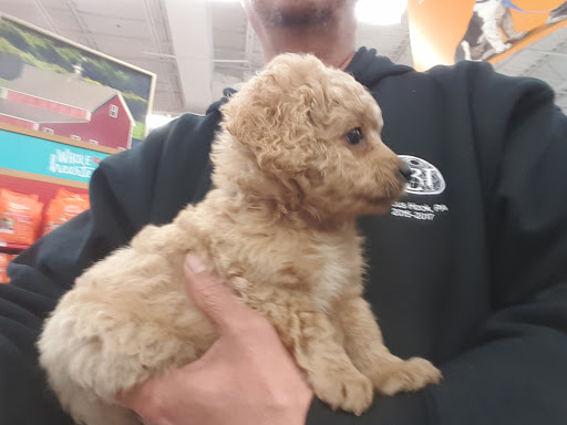 Pet Supply Store «Petco Animal Supplies», reviews and photos, 4491 Kirkwood Hwy, Wilmington, DE 19808, USA