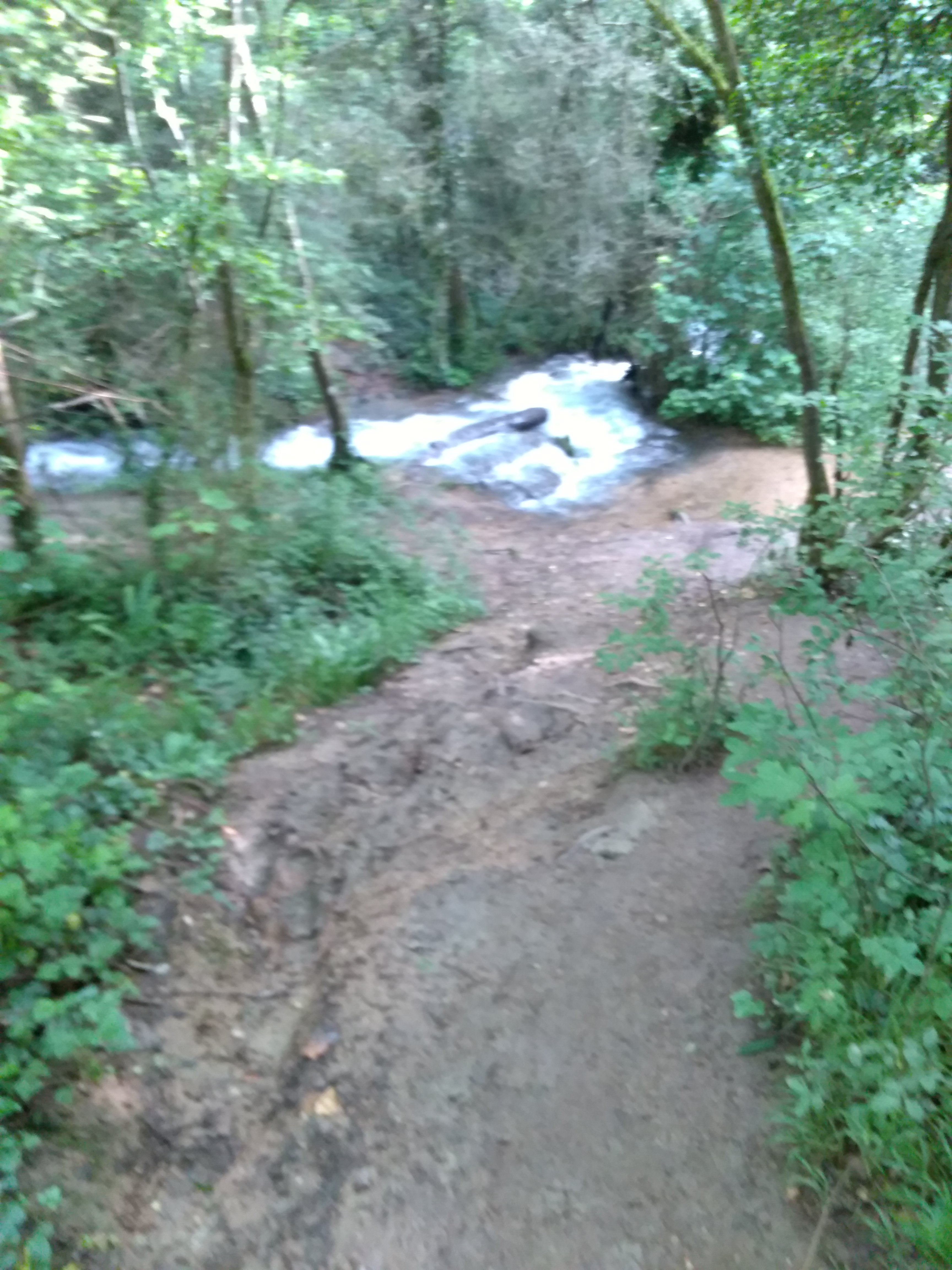 Photo n° 13 de l'avis de Thierry.v fait le 27/06/2018 à 10:34