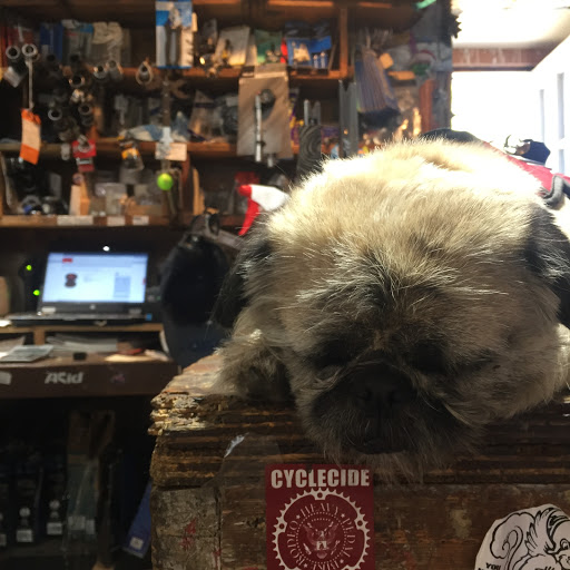 Bicycle Store «Green Mountain Bicycles», reviews and photos, 105 N Main St, Rochester, VT 05767, USA