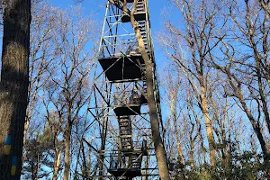 Cook Forest Tower image