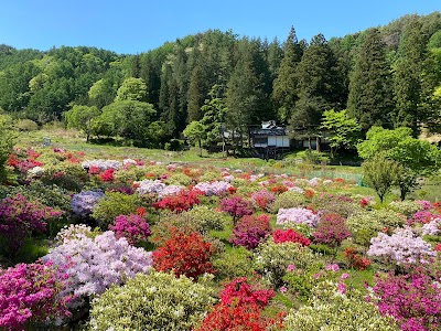 山田つつじ園