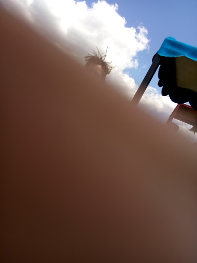 Zoo «Petting zoo Ocala», reviews and photos, 11150 FL-40, Ocala, FL 34482, USA