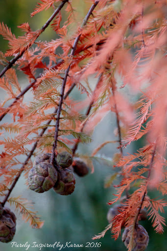 National Park «Hampton National Historic Site», reviews and photos, 535 Hampton Ln, Towson, MD 21286, USA