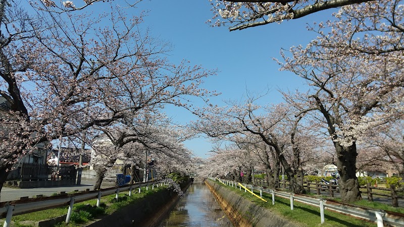 港南公園