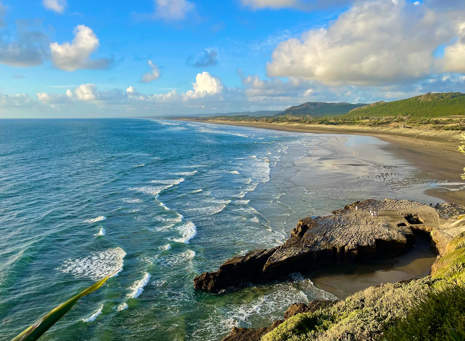 Photo of Muriwai Beach with long straight shore