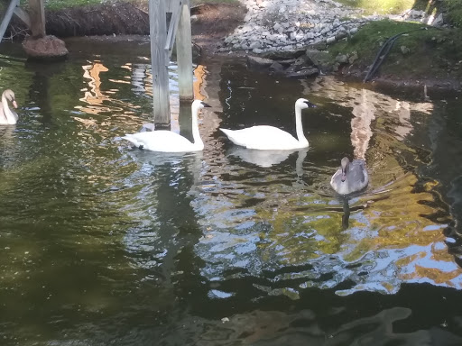 Zoo «NEW Zoo & Adventure Park», reviews and photos, 4378 Reforestation Rd, Green Bay, WI 54313, USA