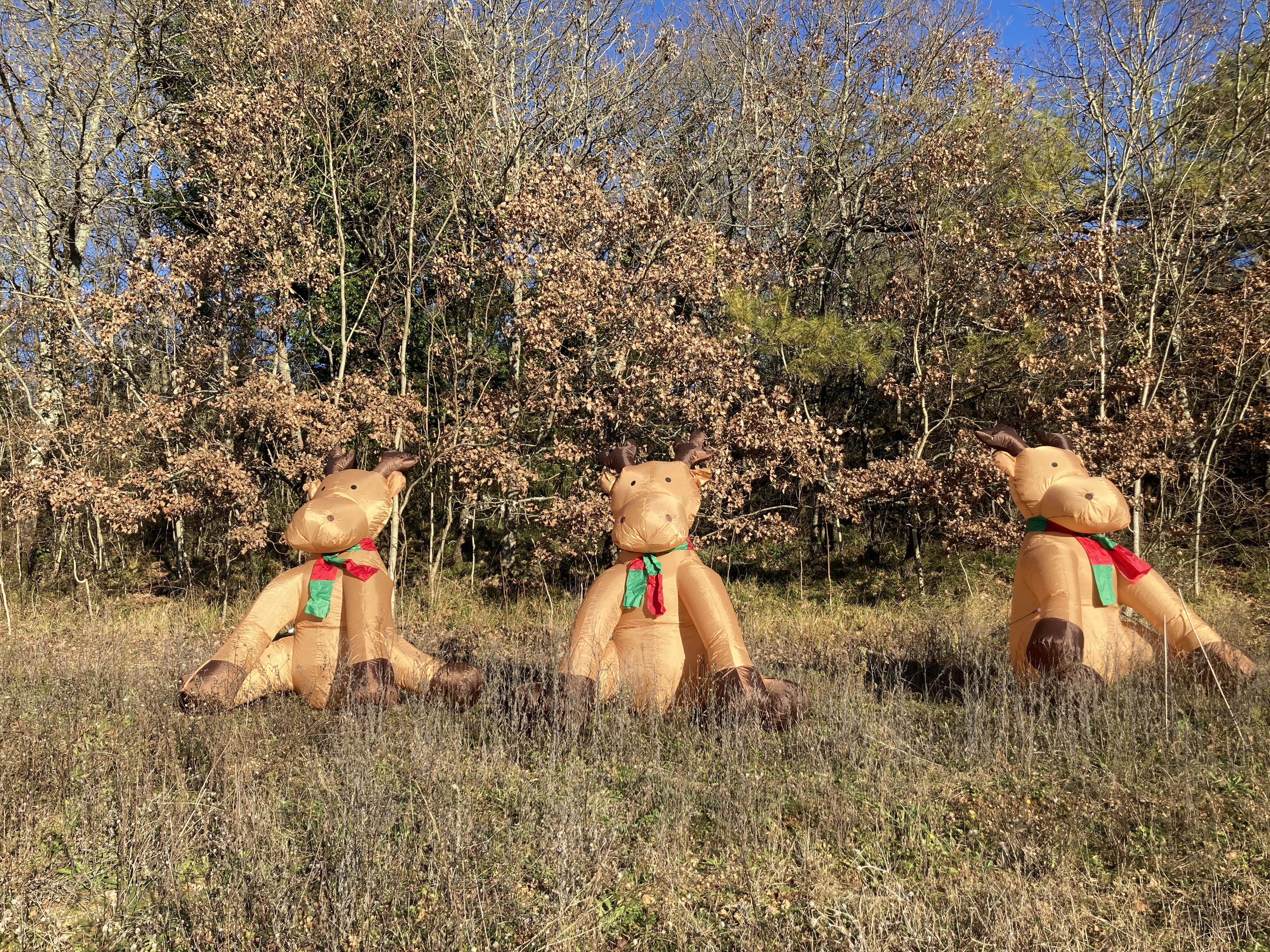 Photo n° 2 de l'avis de Claire.O fait le 18/12/2021 à 17:50