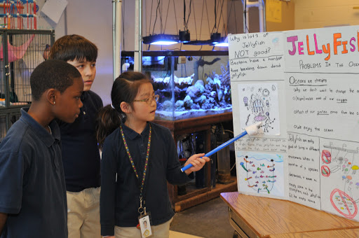 Aquarium «Jellyfish Art», reviews and photos, 4801 Johnson Rd Suite 10, Coconut Creek, FL 33073, USA