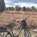 Photo n°4 de l'avis de Ilona.� fait le 29/10/2020 à 08:44 sur le  Best Western Hotel Heidehof à Südheide