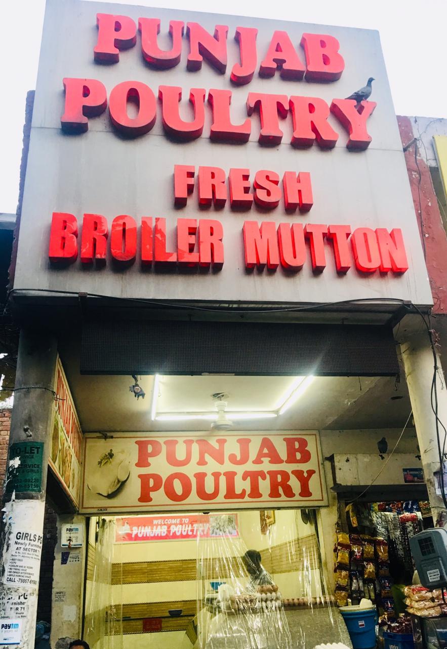 Punjab Poultry