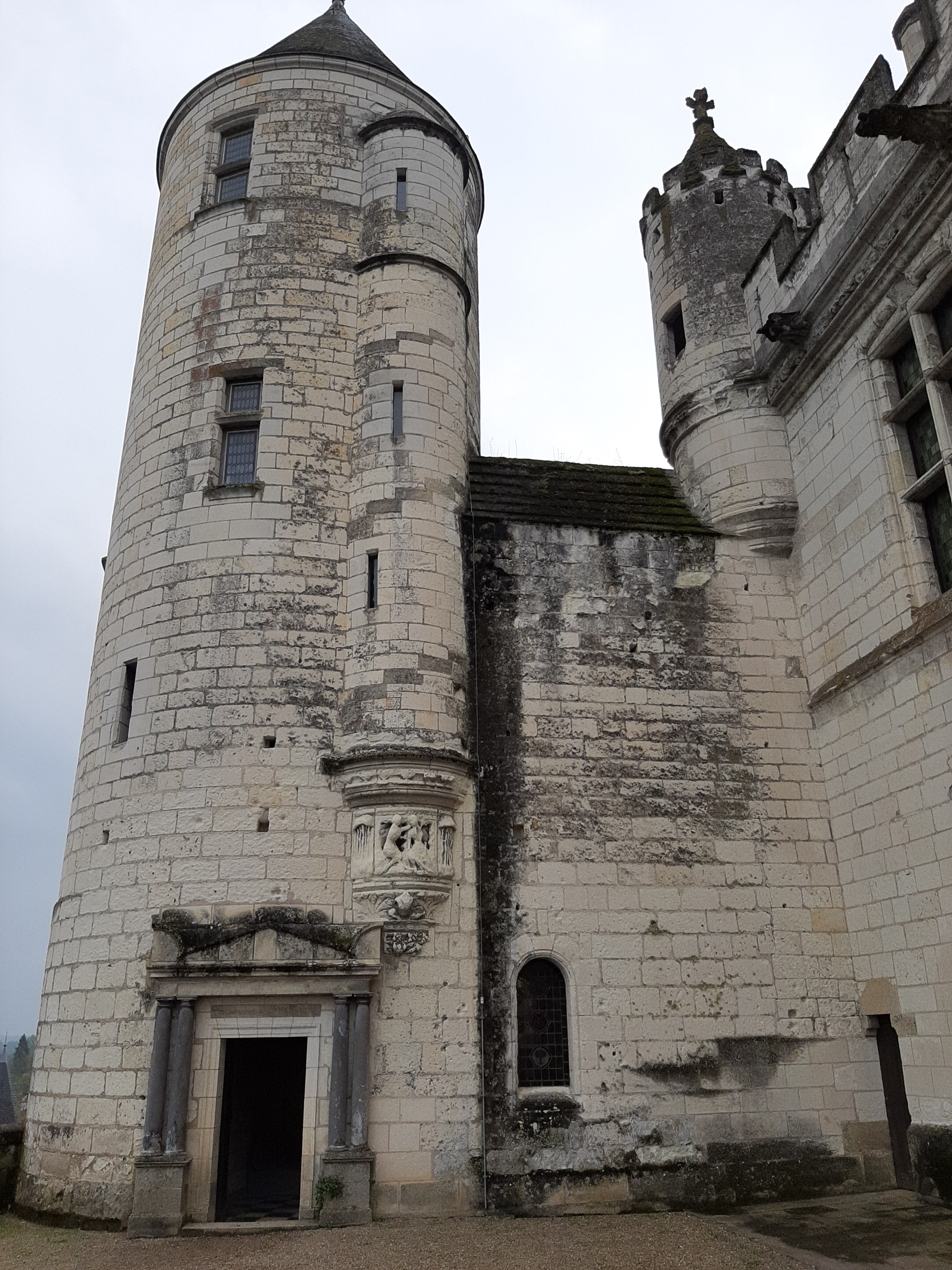 Photo n° 18 de l'avis de Olive.. fait le 26/04/2022 à 19:12