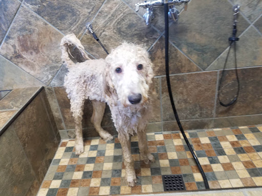 Pet Supply Store «Pet Valu», reviews and photos, 8249 Chippewa Rd, Brecksville, OH 44141, USA