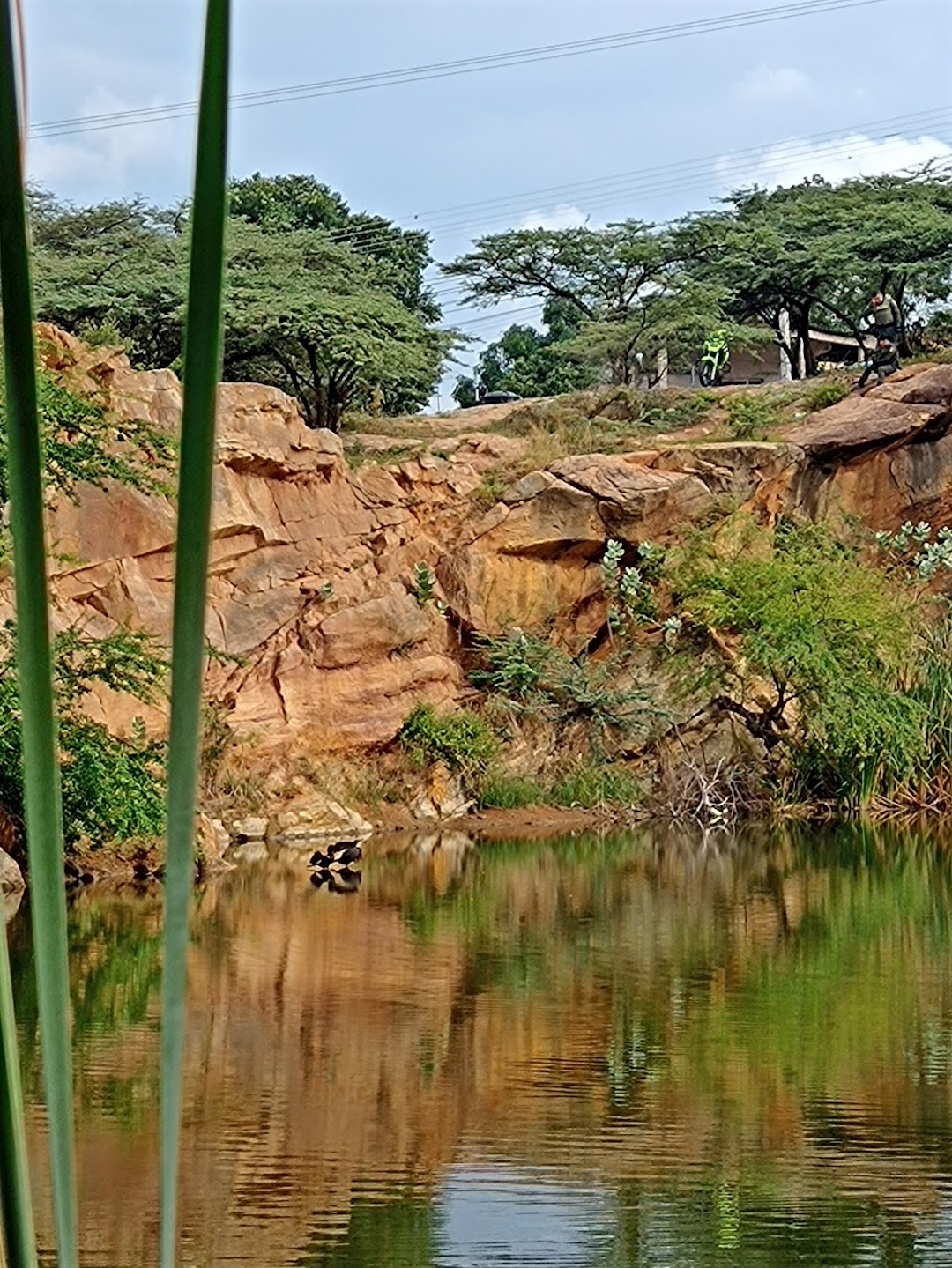 Laguna San Luis