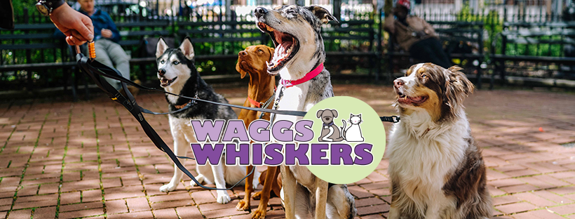 Waggs 2 Whiskers, LLC