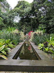 Jardim Botânico do Recife