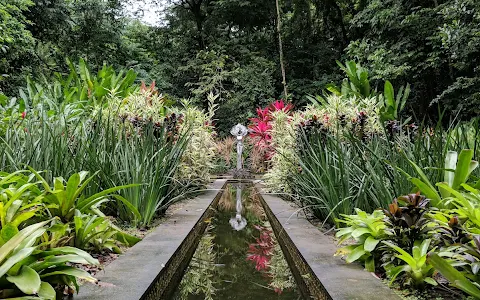 Botanical Garden of Recife image