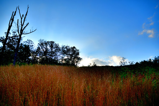 Public Golf Course «Fairways of Canton- Stratus Kitchen & Bar», reviews and photos, 400 Laurel Canyon Pkwy, Canton, GA 30114, USA