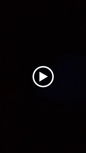 Department Store «Walmart Supercenter», reviews and photos, 2132 Old Snow Hill Rd, Pocomoke City, MD 21851, USA