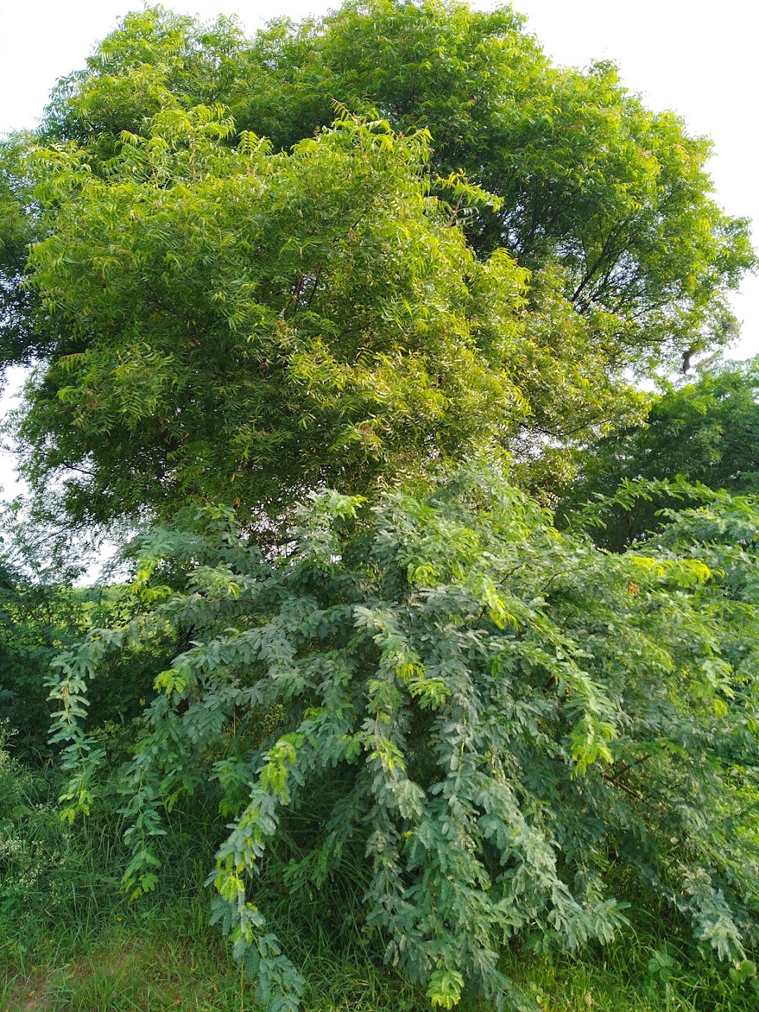 Kabristan