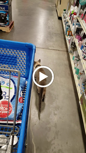 Pet Supply Store «PetSmart», reviews and photos, 5640 Cedar Lake Rd, Minneapolis, MN 55416, USA