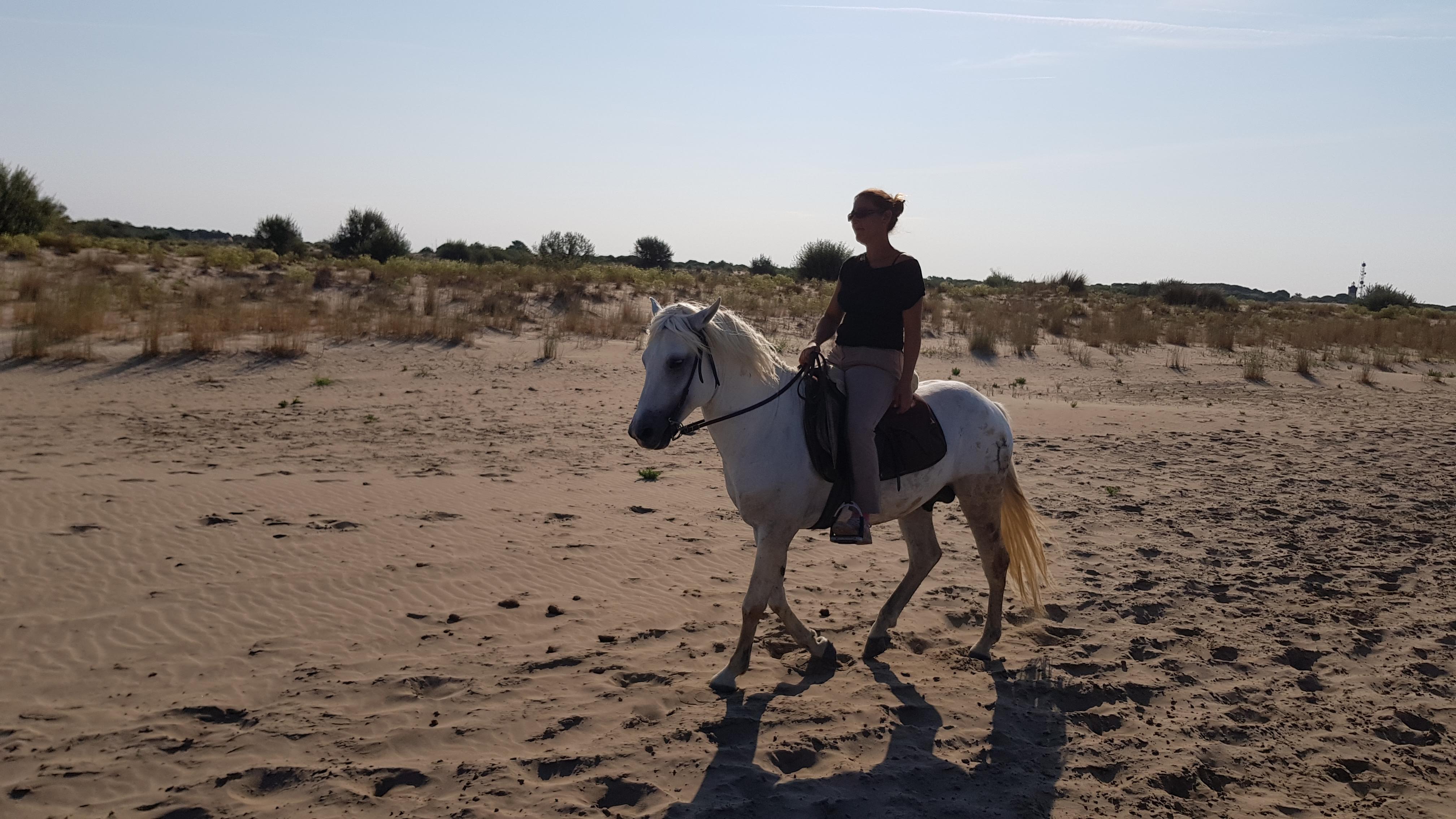 Photo n° 9 de l'avis de Franck. fait le 23/08/2018 à 12:53