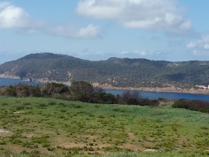 Photo n°25 de La Palmeraie à Hyères ()