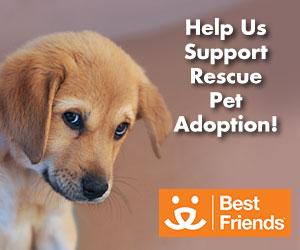 Carpet Cleaning Service «Chem-Dry of Rutland-Killington», reviews and photos, 196 Stratton Rd, Rutland, VT 05701, USA