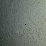 Photo n°2 de l'avis de Chris.p fait le 03/03/2019 à 02:40 sur le  Hotel-Pension Cityblick à Berlin